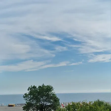 Apartment Alecsa 2 Luxury Mamaia